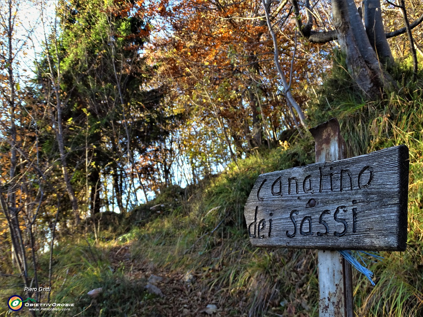 13 Partenza dal Canalino dei sassi in zona Foppelle di Camerata Cornello (1100 m).JPG